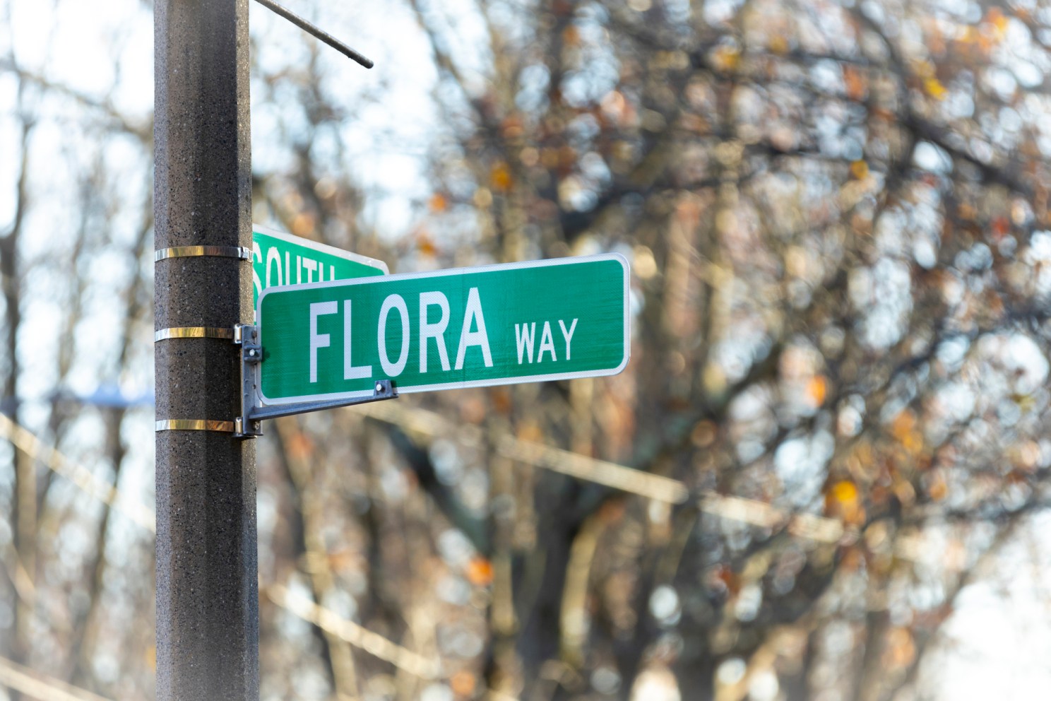 A photo of the street sign the reads “Flora Way.” 