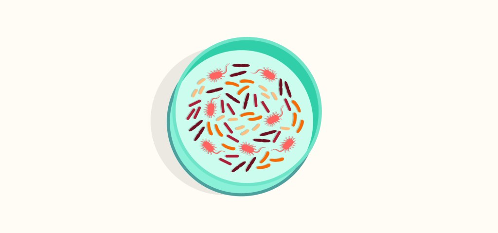 Illustration of harmful bacteria in petri dish.