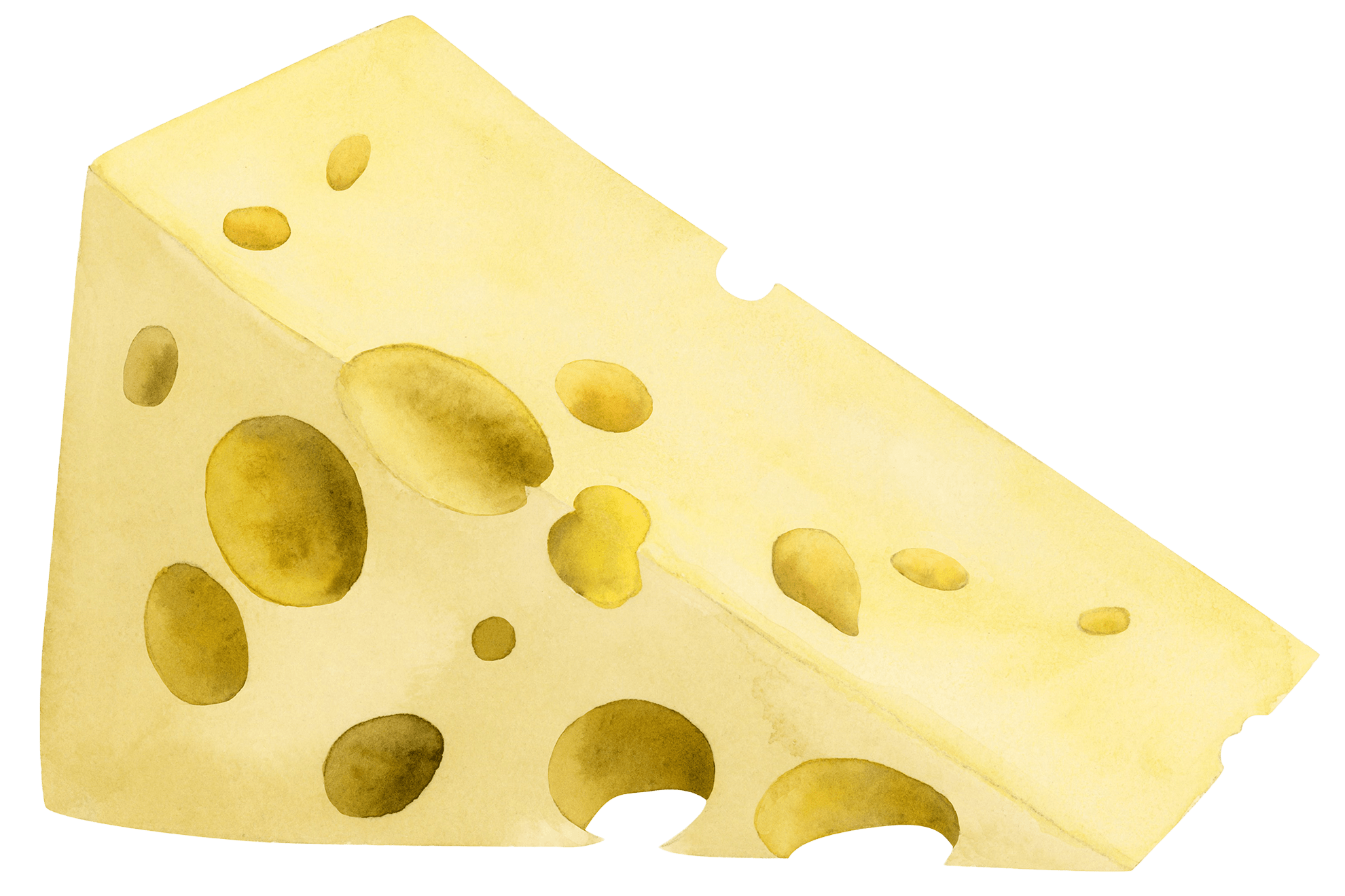 Is Cheese Bad For You? — Harvard Gazette