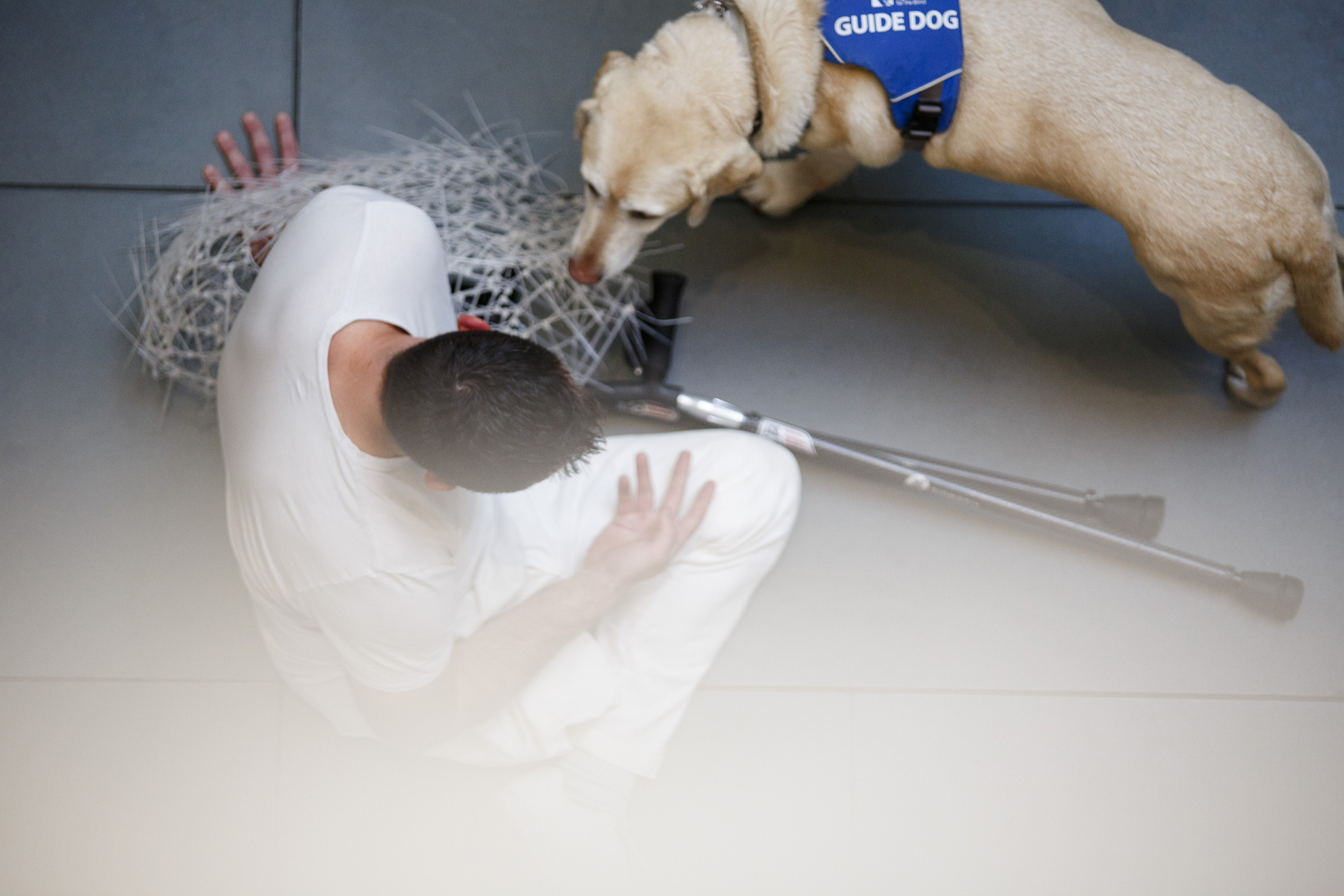 Nicolai Calabria performs as an observer’s guide dog investigates.