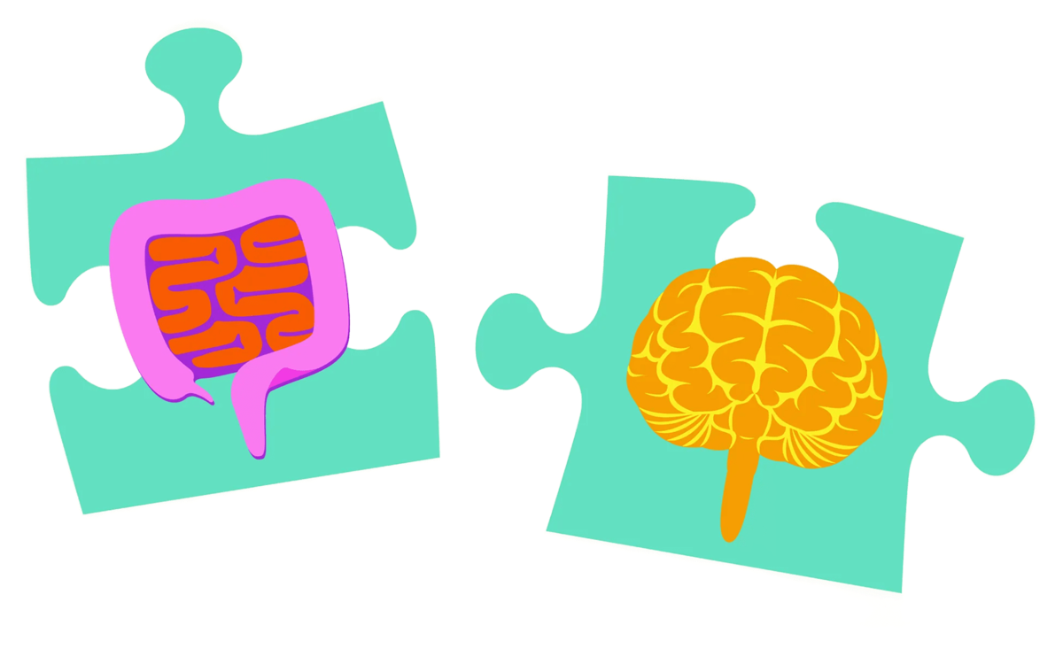 Illustration of gut and brain as puzzle pieces.