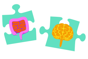 Illustration of gut and brain as puzzle pieces.