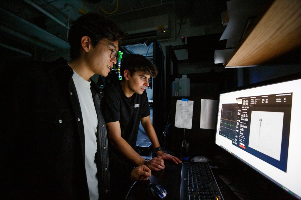 Alex Chen (left) and Marc Duque Ramirez observe the movements of days-old zebrafish captured through an intricate optical setup as part of ongoing research.