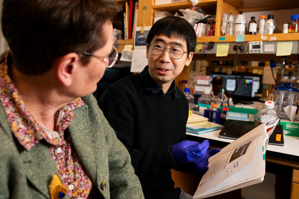 Ding Liu and Catherine Dulac.