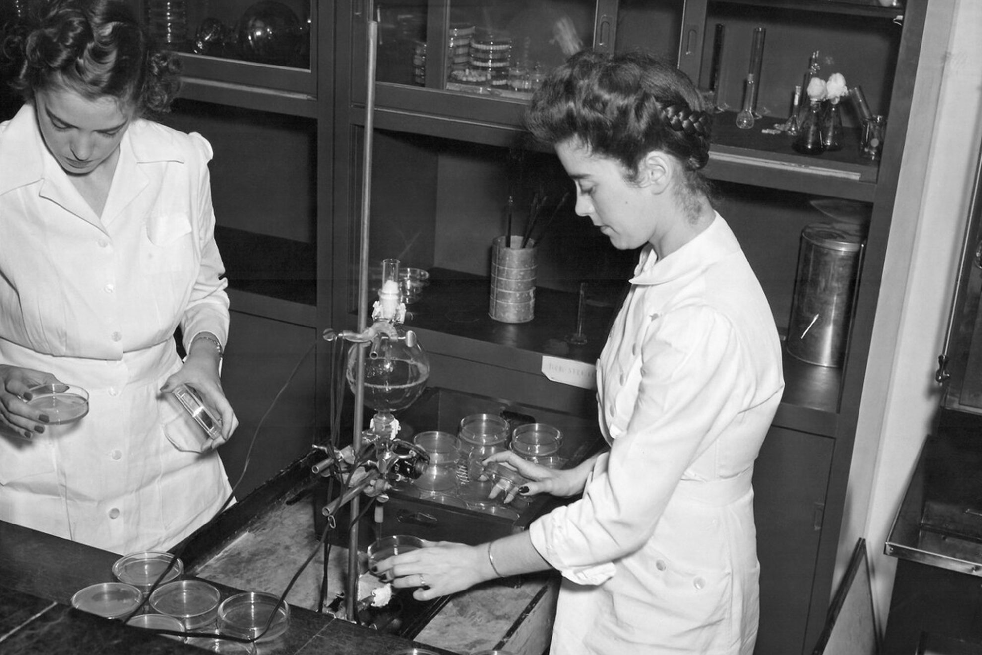 During World War II, government-supported research led scientists to successfully mass produce penicillin. Here workers at a United States Department of Agriculture research lab, ca. 1943, look for mold strains that produce the highest amounts of the antibiotic.