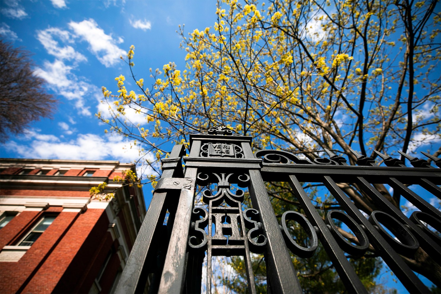 Harvard Gate on Quincy Street.