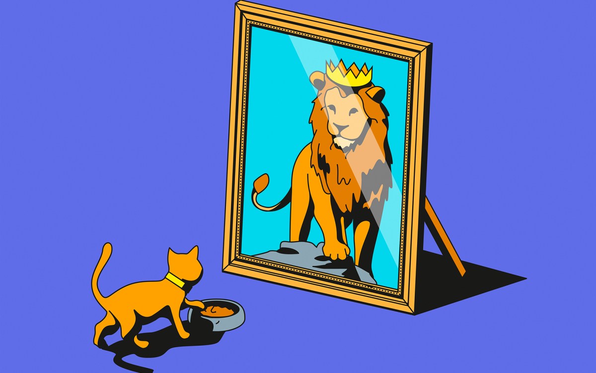 Illustration of cat looking in mirror and seeing lion reflection. (Harry Haysom/Ikon Images)