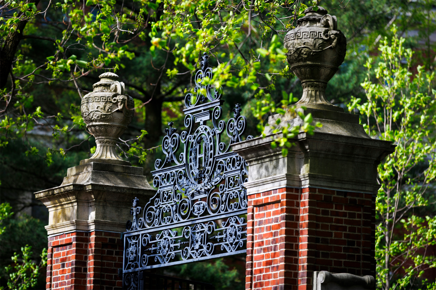 An ornate gate featuring an H is pictured alongside Harvard Yard.