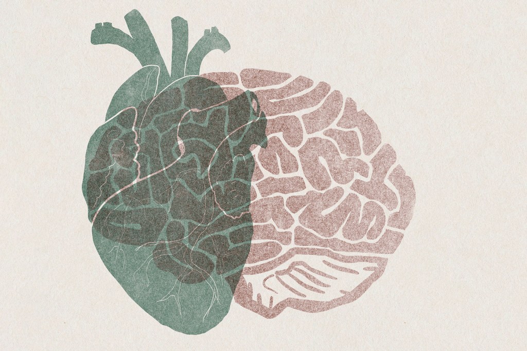 Illustration of heart and brain.