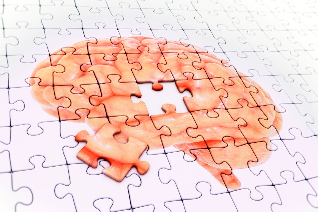 Illustration of brain-shaped puzzle.