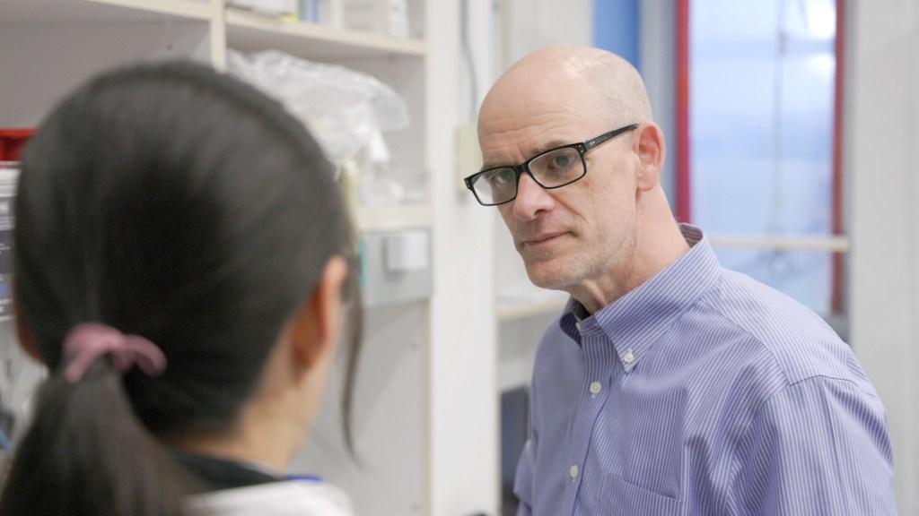 David Mooney in his lab