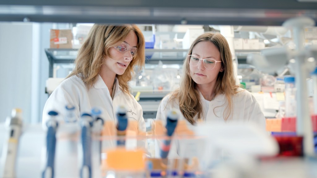 Researchers in a lab