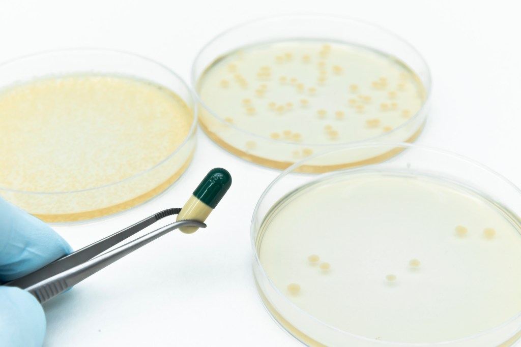 Experiments for antibiotics development using superbacteria in petri dishes.