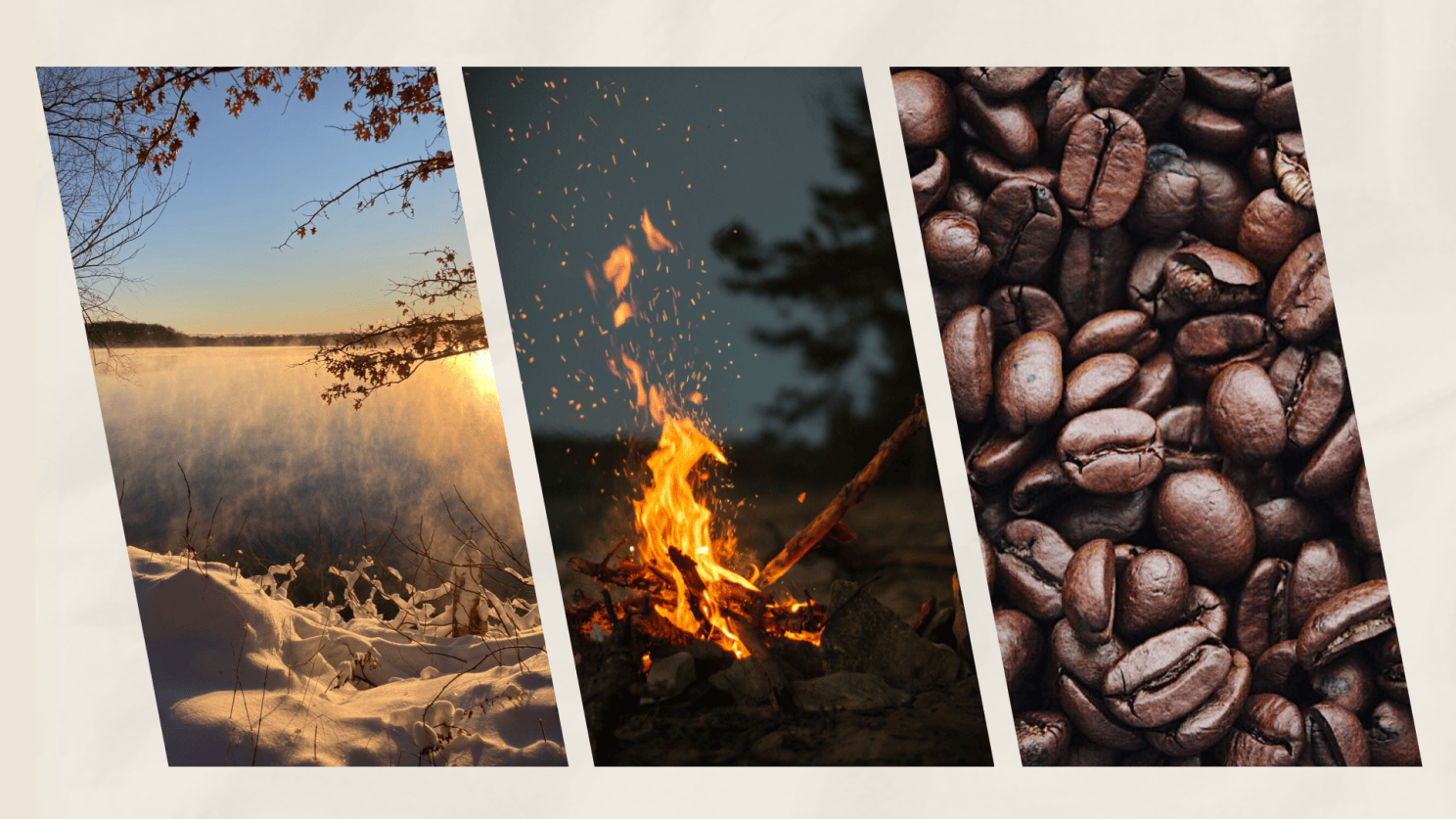 Illustration of nature walk, campfire, and coffee beans.