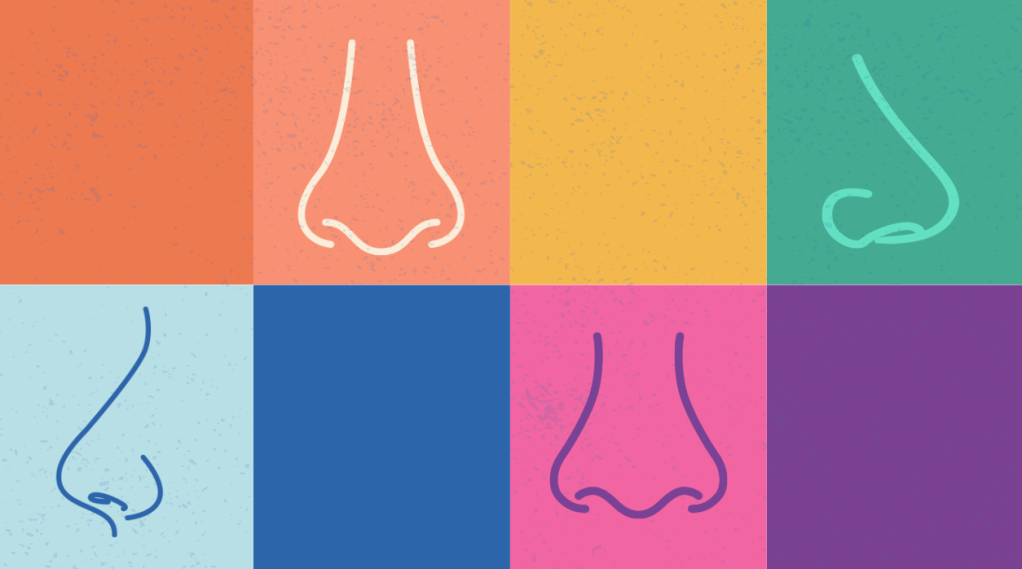 collage of noses