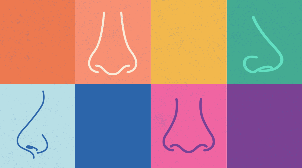collage of noses