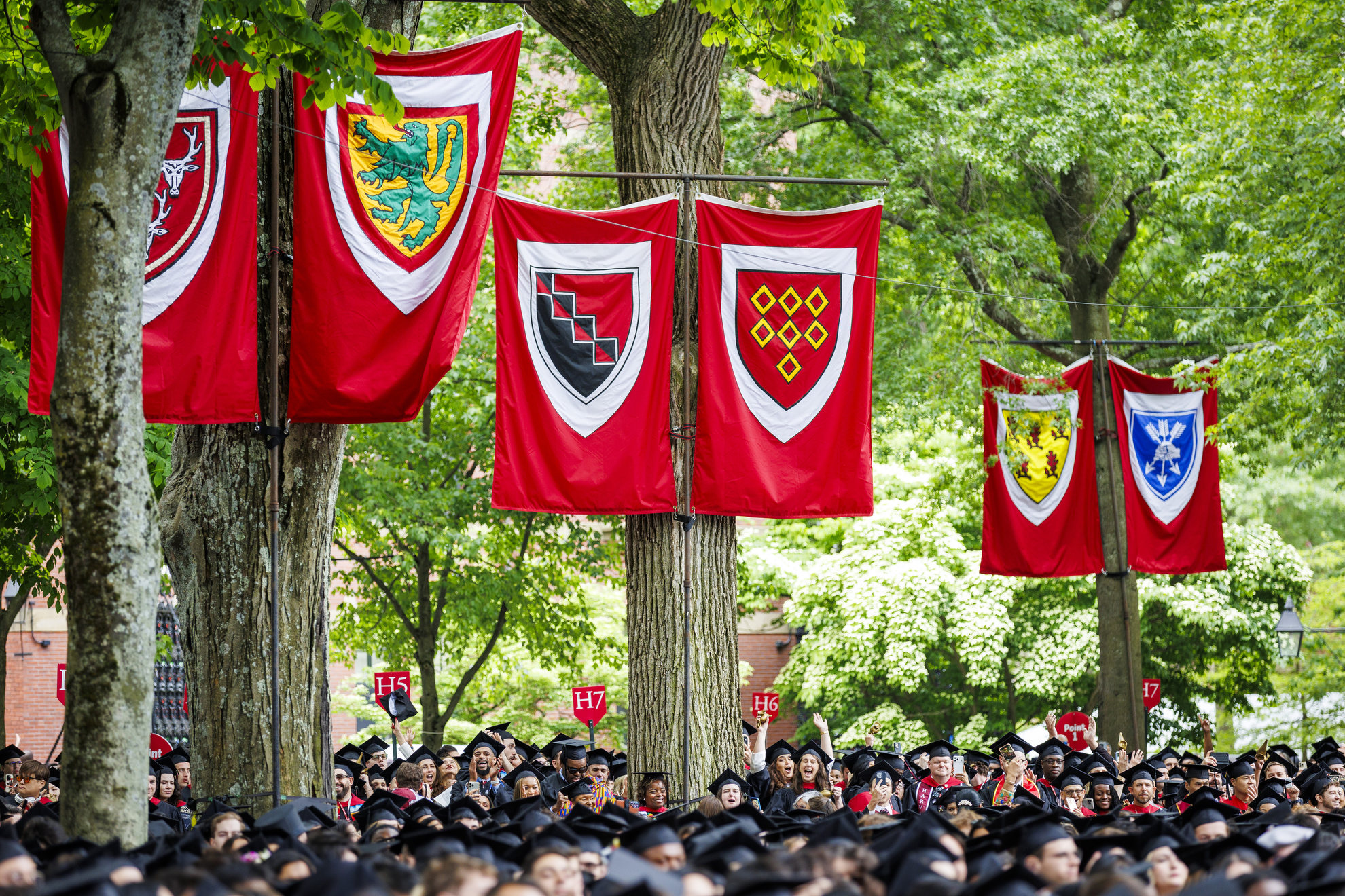Graduates celebrate in the Yard. 