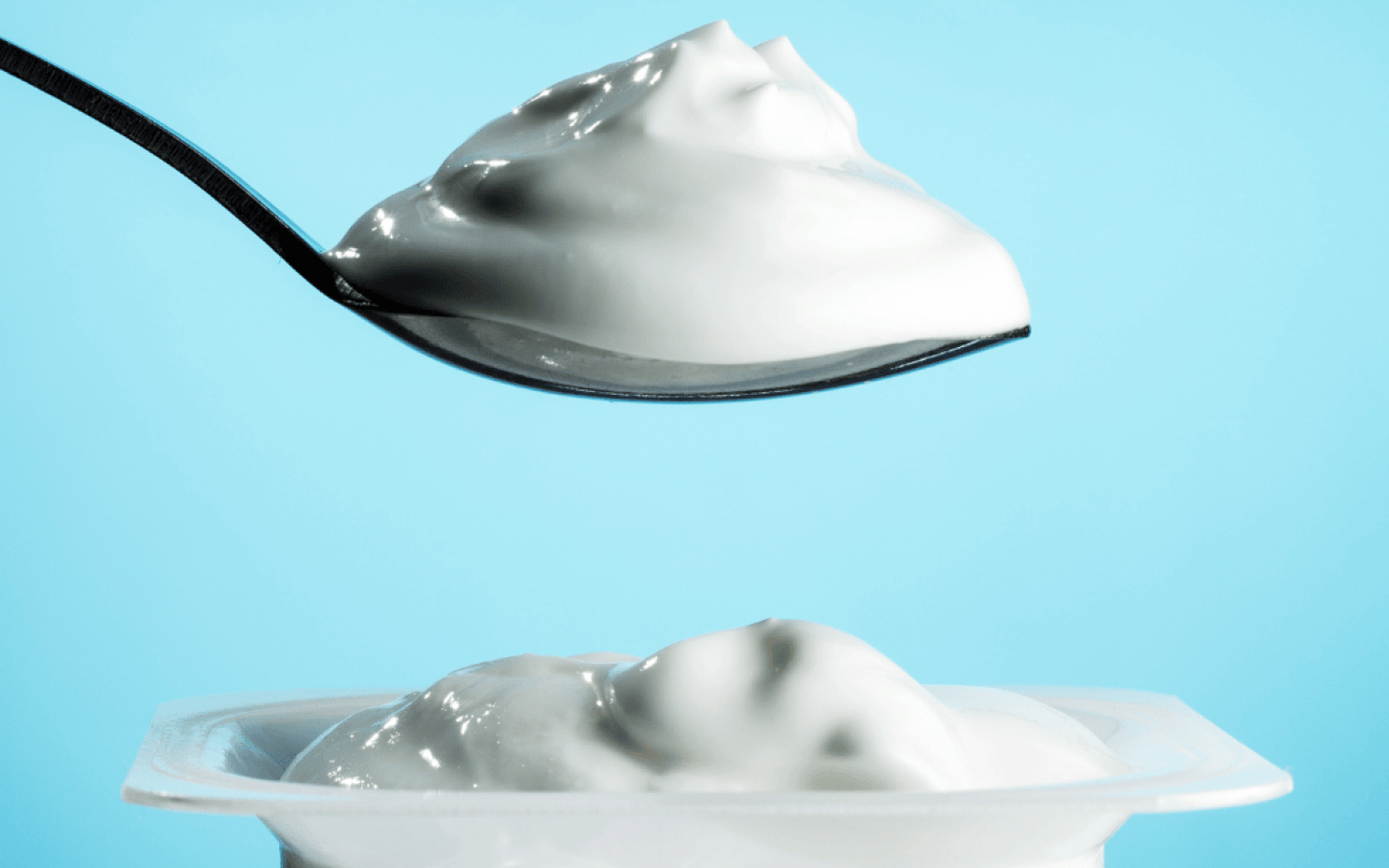 yogurt